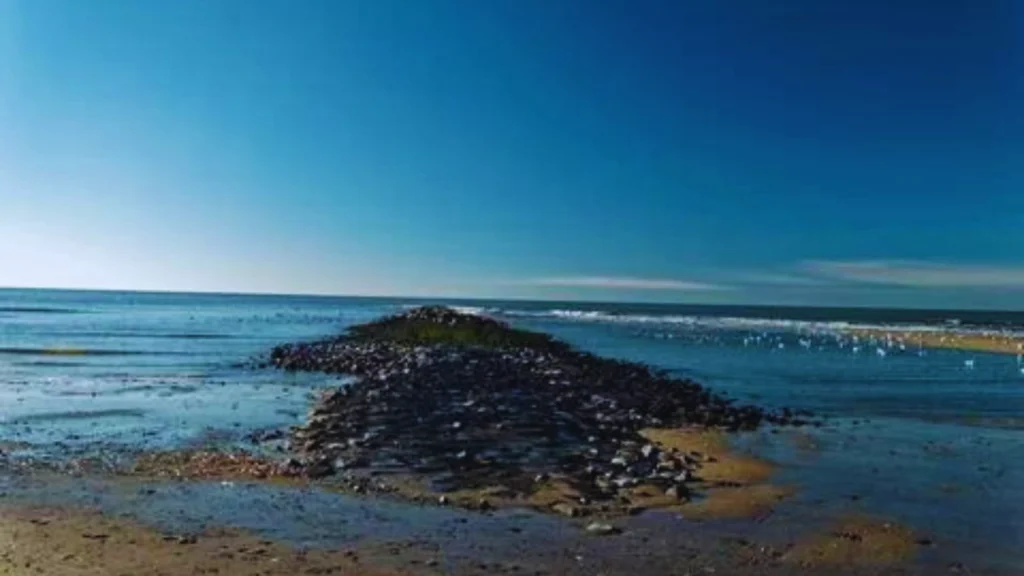 Texel Beach